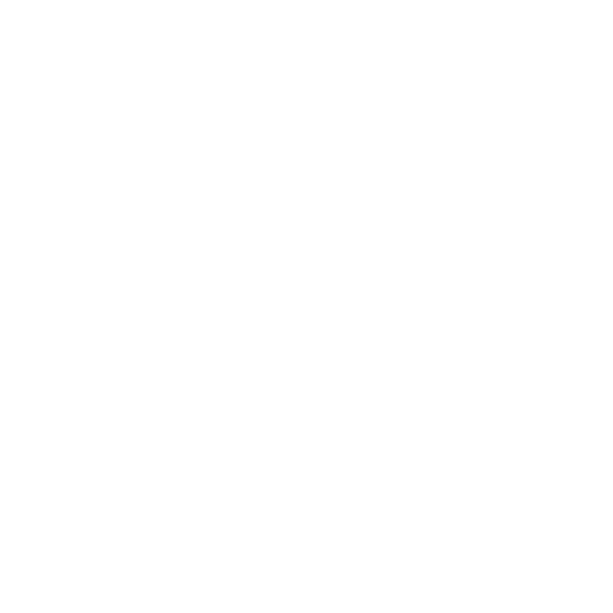 Wynn logo – white Wynn Fortune Global